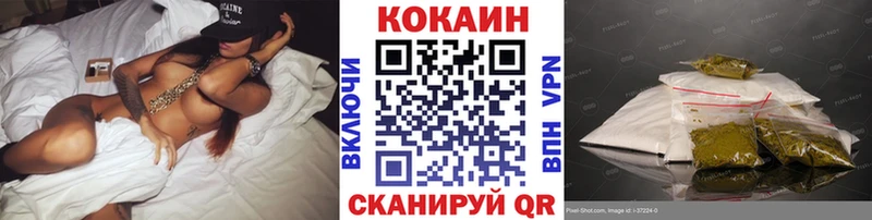 купить наркотики цена  Павловский Посад  Cocaine FishScale 
