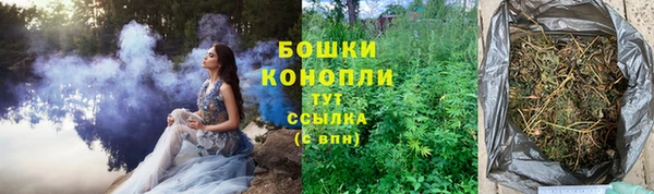 дурь Костерёво