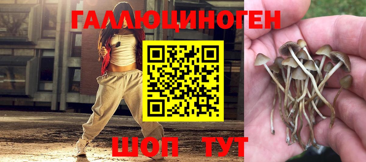 Псилоцибиновые грибы мицелий  Вход с VPN  Павловский Посад 